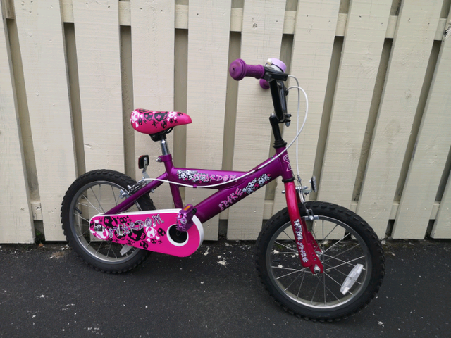 gumtree girls bike